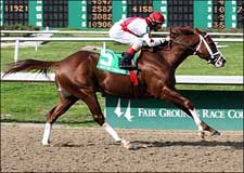 Master Command Sails in Mineshaft Win Master Command Sails in Mineshaft Win