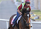 Master of Hounds May Run in Kentucky Derby Master of Hounds May Run in Kentucky Derby