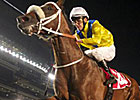 Master of Hounds Wires Field in Jebel Hatta Master of Hounds Wires Field in Jebel Hatta