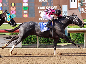 Master Rick Rolls On in Lone Star Park 'Cap Master Rick Rolls On in Lone Star Park 'Cap