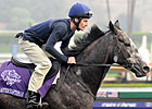 Mastercraftsman retired; 2010 Coolmore fees Mastercraftsman retired; 2010 Coolmore fees