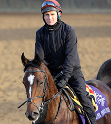 Master of Hounds 9-2 Fav in Juvenile Turf Master of Hounds 9-2 Fav in Juvenile Turf