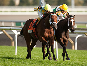 Matador Holds On in Cup and Saucer Thriller Matador Holds On in Cup and Saucer Thriller