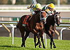 Matador Holds On in Cup and Saucer Thriller Matador Holds On in Cup and Saucer Thriller