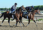 Matterhorn Confirmed for Belmont, Bravo Up Matterhorn Confirmed for Belmont, Bravo Up