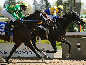 Matt's Broken Vow Heads Canadian Derby Matt's Broken Vow Heads Canadian Derby