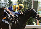 Matt's Broken Vow Heads Canadian Derby Matt's Broken Vow Heads Canadian Derby