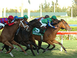 Orchid 'Cap: Familiar Rivals Meet Again Orchid 'Cap: Familiar Rivals Meet Again