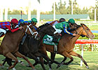 Orchid 'Cap: Familiar Rivals Meet Again Orchid 'Cap: Familiar Rivals Meet Again