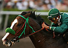 Colic Claims Calif. Stallion McCann's Mojave Colic Claims Calif. Stallion McCann's Mojave