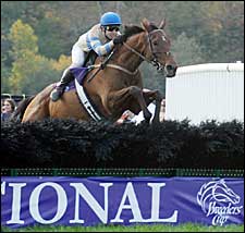 MAHUBAH'S CORNER: Magnificent McDynamo MAHUBAH'S CORNER: Magnificent McDynamo