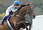 MAHUBAH'S CORNER: Magnificent McDynamo MAHUBAH'S CORNER: Magnificent McDynamo