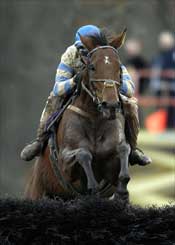 McDynamo Wins Third Steeplechase Eclipse in Four Years McDynamo Wins Third Steeplechase Eclipse in Four Years