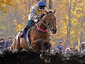 Steeplechase Posts Record in 2007 Steeplechase Posts Record in 2007