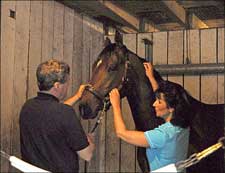Derby Rubdown: Hard Spun Gets Ready With a Massage Derby Rubdown: Hard Spun Gets Ready With a Massage