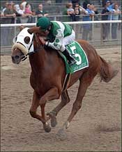 Meadow Breeze Blows Away Matron at 34-1 Meadow Breeze Blows Away Matron at 34-1