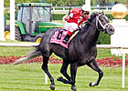 Meal Penalty Feasts on Arlington Turf Meal Penalty Feasts on Arlington Turf