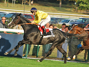 Meandre Decisive Winner at Longchamp Meandre Decisive Winner at Longchamp