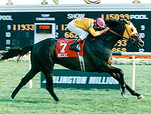 Grade I-Winning Stallion Mecke Euthanized Grade I-Winning Stallion Mecke Euthanized