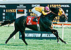 Grade I-Winning Stallion Mecke Euthanized Grade I-Winning Stallion Mecke Euthanized