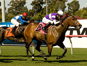 Medaglia d'Amour Wins Wilshire in Stakes Bow Medaglia d'Amour Wins Wilshire in Stakes Bow