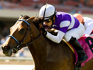Medaglia d'Amour Out of Ladies' Classic Medaglia d'Amour Out of Ladies' Classic