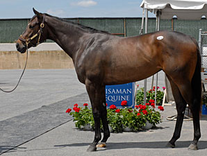 Vibrant F-T Midlantic Sale Posts Increases Vibrant F-T Midlantic Sale Posts Increases