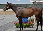 Medaglia d'Oro Filly Sets Maryland Record Medaglia d'Oro Filly Sets Maryland Record