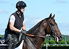 Spendthrift Counts on 'Medal' for Belmont Spendthrift Counts on 'Medal' for Belmont