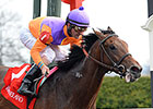 Blue Grass Runner-Up Medal Count Derby Bound Blue Grass Runner-Up Medal Count Derby Bound