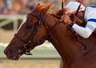 Medici Code Seeks Third Graded Victory in Indiana Derby