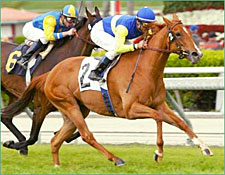 Megahertz Zaps Her Santa Barbara Foes Megahertz Zaps Her Santa Barbara Foes