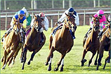 Katdogawn Could be Breeders' Cup Bound Katdogawn Could be Breeders' Cup Bound