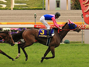Meisho Mambo Roars Back to Win Japanese Oaks Meisho Mambo Roars Back to Win Japanese Oaks