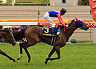 Meisho Mambo Roars Back to Win Japanese Oaks Meisho Mambo Roars Back to Win Japanese Oaks