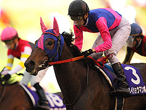 Rallying Meisho Mambo Takes Japan's QE II Cup Rallying Meisho Mambo Takes Japan's QE II Cup