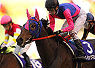 Rallying Meisho Mambo Takes Japan's QE II Cup Rallying Meisho Mambo Takes Japan's QE II Cup