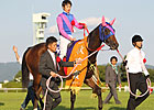 Meisho Mambo Adds Second Classic in Shuka Sho Meisho Mambo Adds Second Classic in Shuka Sho