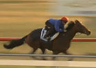 Melbourne Cup Trainers Tips