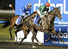 Mendip Shows Class in Maktoum Challenge Win Mendip Shows Class in Maktoum Challenge Win