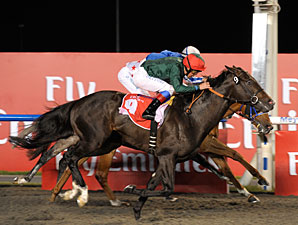 Mendip Scores Narrow Win in Burj Nahaar Mendip Scores Narrow Win in Burj Nahaar