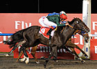 Mendip Scores Narrow Win in Burj Nahaar Mendip Scores Narrow Win in Burj Nahaar