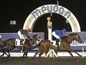 Mental Foils Krypton Factor in Meydan Sprint Mental Foils Krypton Factor in Meydan Sprint