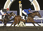 Mental Foils Krypton Factor in Meydan Sprint Mental Foils Krypton Factor in Meydan Sprint