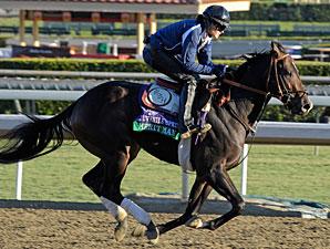 Merit Man Goes from BC to Spectacular Bid Merit Man Goes from BC to Spectacular Bid