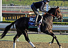 Merit Man is Clear Favorite in Juvy Sprint