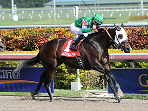 Merit Man Shows Class in Spectacular Bid