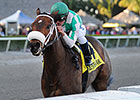 Merry Meadow Romps Home in Hurricane Bertie Merry Meadow Romps Home in Hurricane Bertie