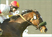 Meteor Storm Bursts Home in San Luis Rey Meteor Storm Bursts Home in San Luis Rey