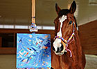 OTTB Spotlight - Metro Meteor